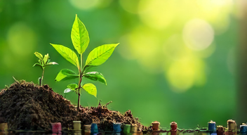 Das sind die Top 7 Schritte beim Klimaschutz und Werbeverboten